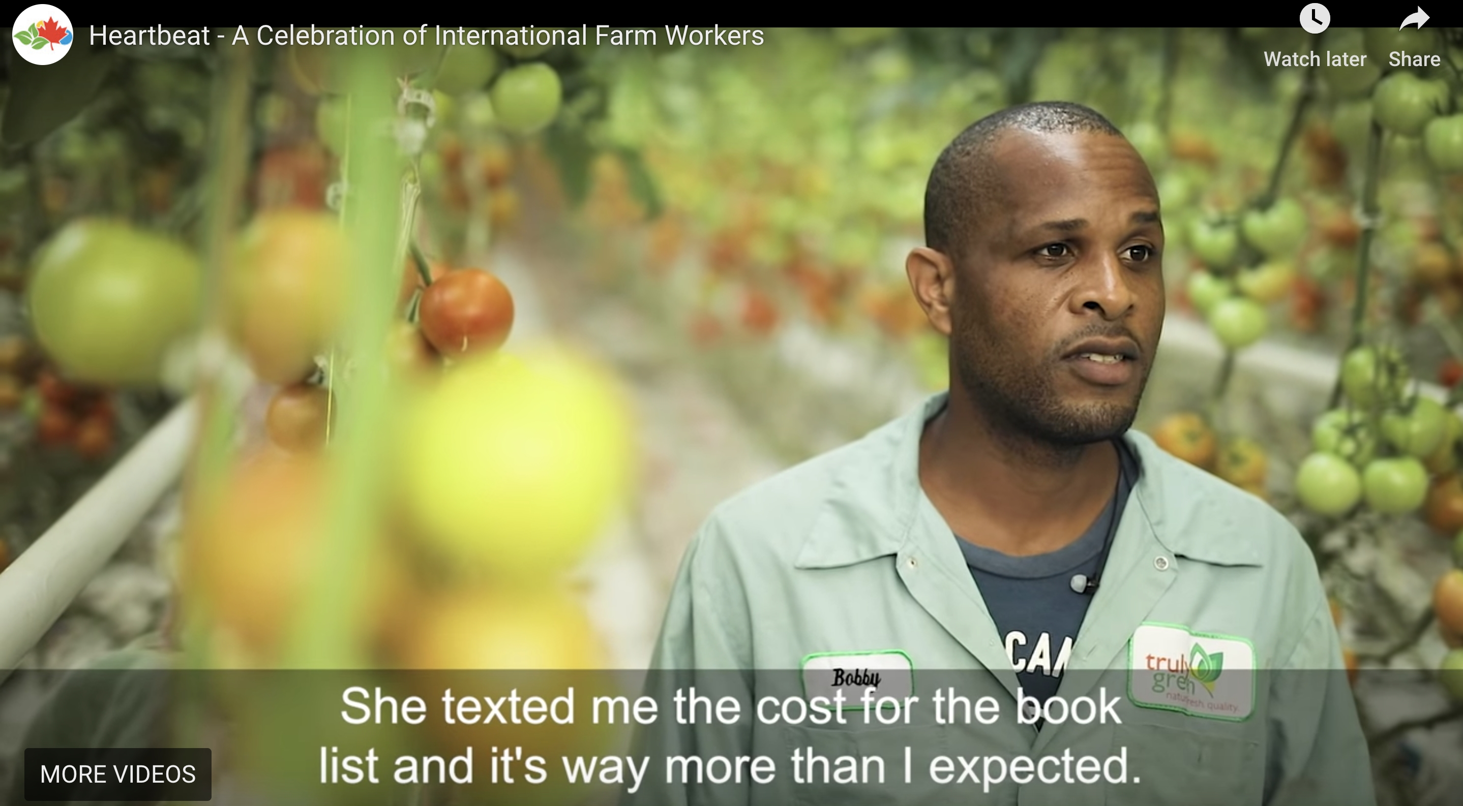 documentary-celebrates-migrant-workers-in-canada-greenhouse-canada