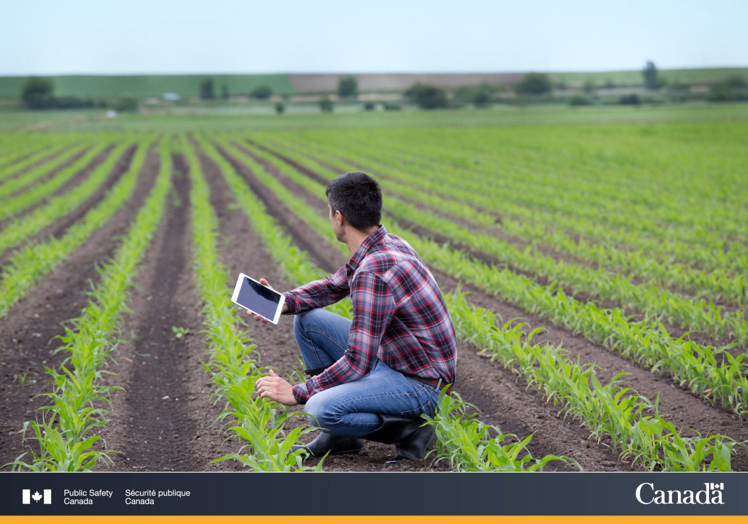 cyber-security-in-agriculture-sector-takes-higher-priority-greenhouse