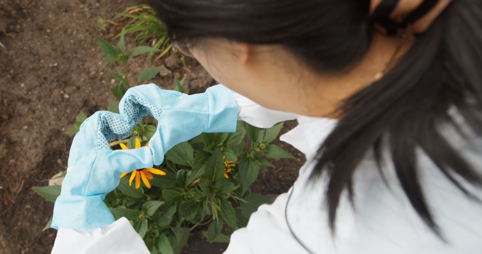 Walmart Canada Suppliers To Implement Pollinator Friendly Practices By 25 Greenhouse Canada