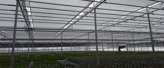 Energy Curtain Advantages - Greenhouse Canadagreenhouse Canada